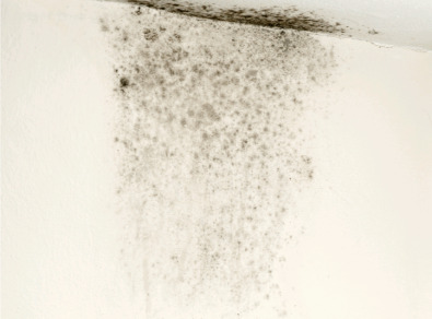 완주 주택 아파트 공장 결로검사 결로공사 시공업체